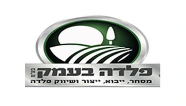 פלדה
